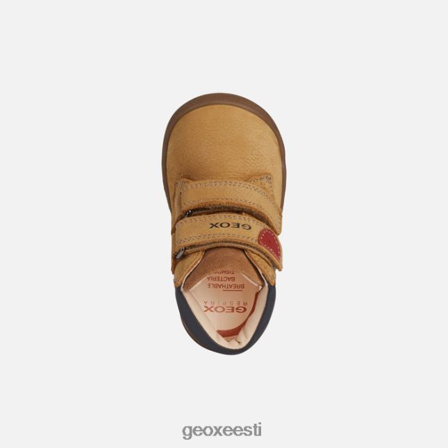 biskviit ZZ2TH21480 Geox macchia beebi