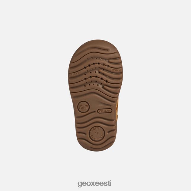 biskviit ZZ2TH21480 Geox macchia beebi
