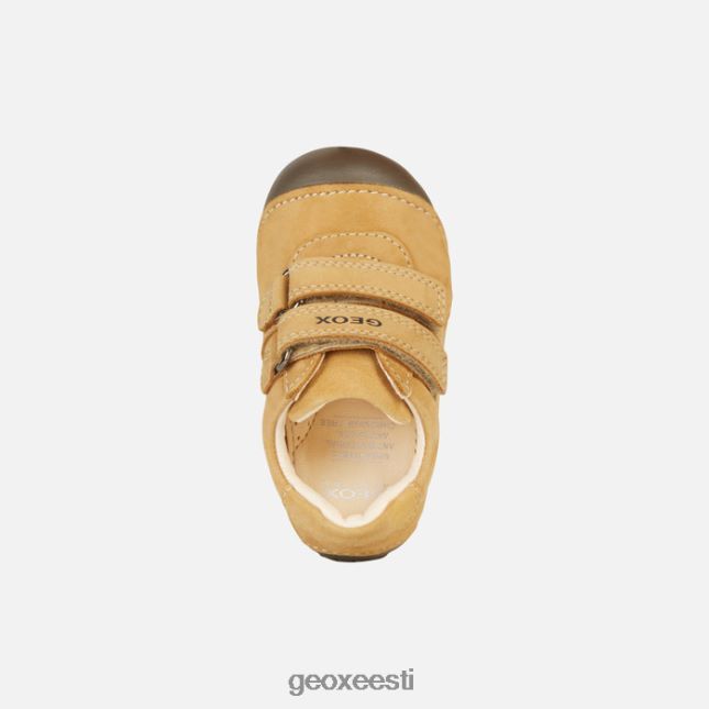 biskviit ZZ2TH21555 Geox tutim beebi