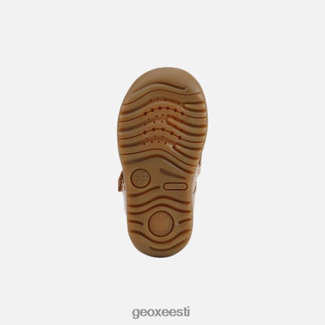 karamell / merevägi ZZ2TH21590 Geox macchia poiss
