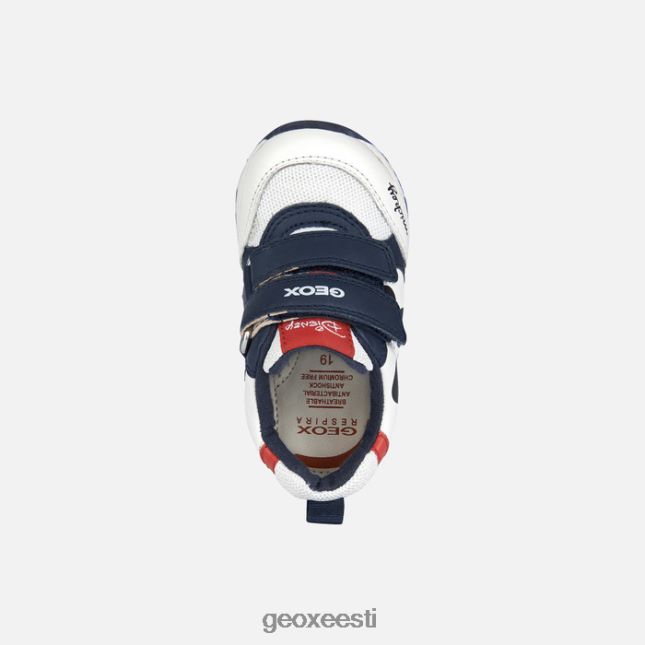 valge/merepunane ZZ2TH21507 Geox rishon beebi