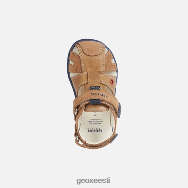 karamell ZZ2TH21598 Geox sandaalid delhi väikelaps