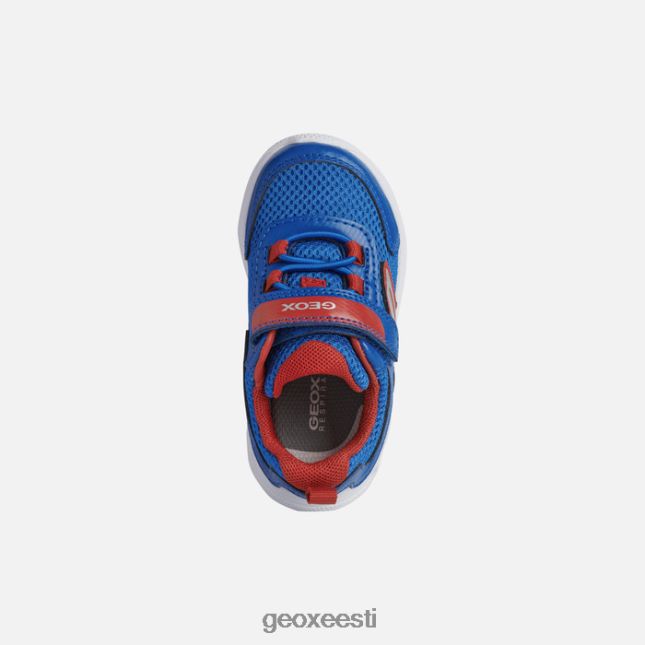 kuninglik/punane ZZ2TH21526 Geox sprintye beebi