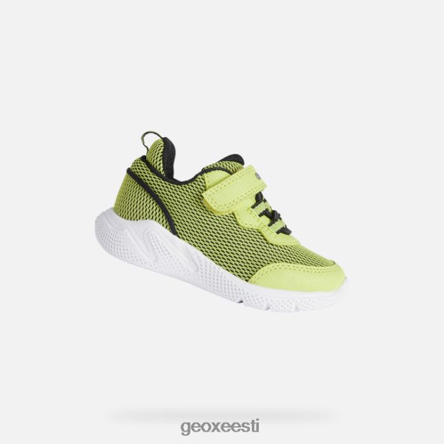 laim/must ZZ2TH21464 Geox sprintye beebi