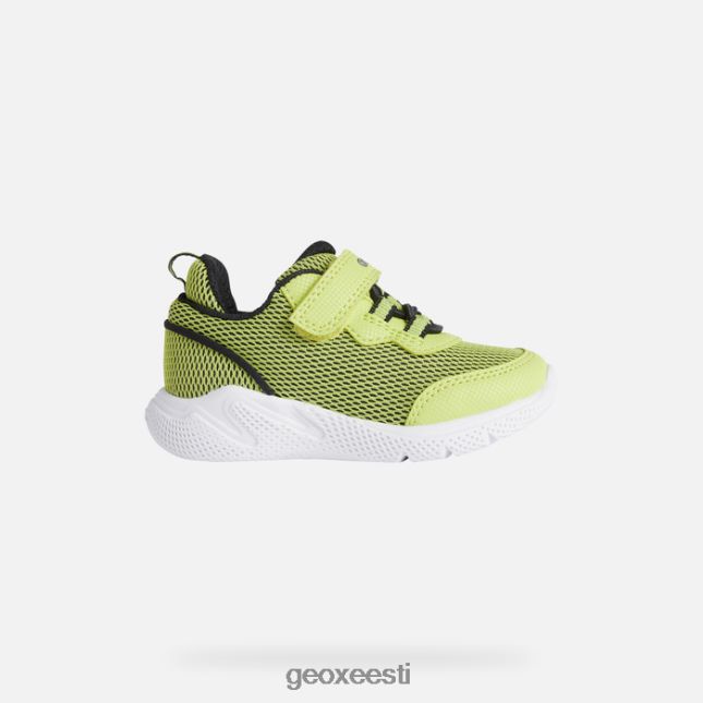 laim/must ZZ2TH21464 Geox sprintye beebi
