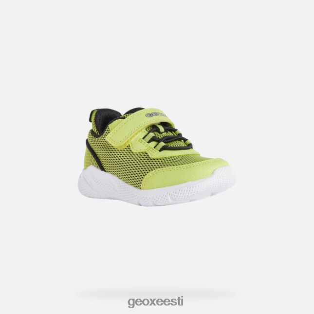 laim/must ZZ2TH21464 Geox sprintye beebi