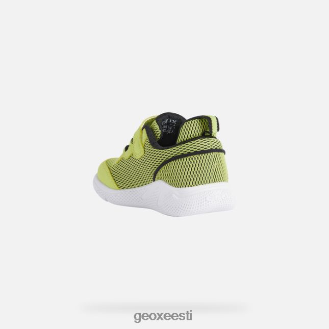 laim/must ZZ2TH21464 Geox sprintye beebi