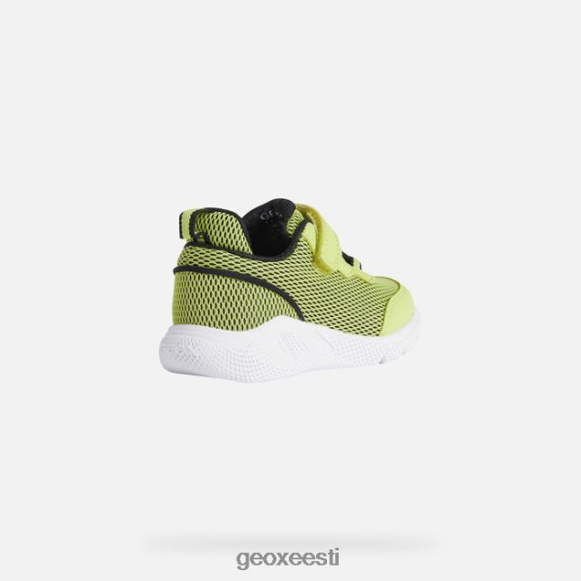 laim/must ZZ2TH21464 Geox sprintye beebi