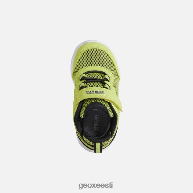 laim/must ZZ2TH21464 Geox sprintye beebi