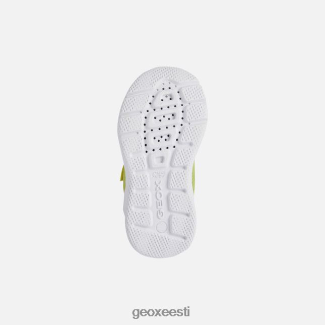 laim/must ZZ2TH21464 Geox sprintye beebi