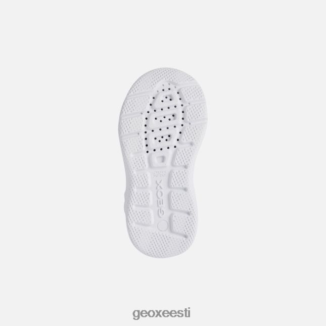 merevägi/oranž ZZ2TH21463 Geox sprintye beebi