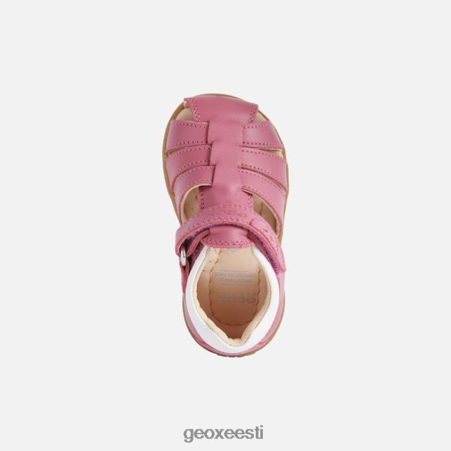 fuksia/valge ZZ2TH21625 Geox sandal macchia beebitüdruk
