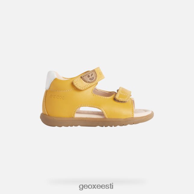 ookerkollane ZZ2TH21616 Geox sandal macchia beebi