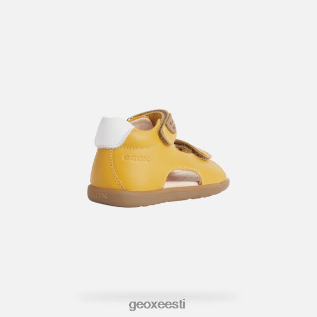 ookerkollane ZZ2TH21616 Geox sandal macchia beebi