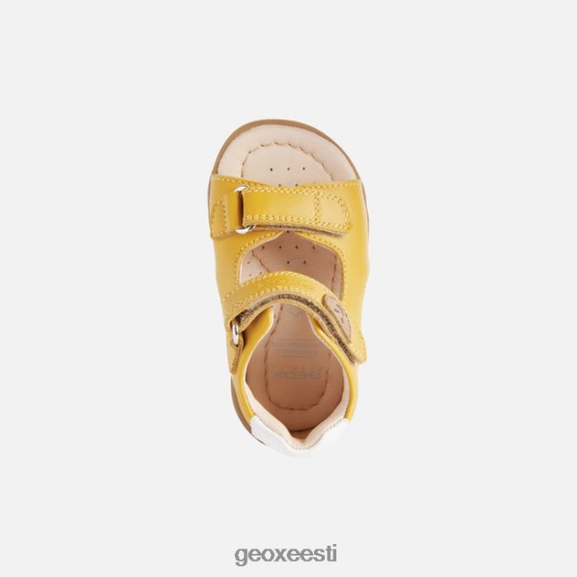 ookerkollane ZZ2TH21616 Geox sandal macchia beebi