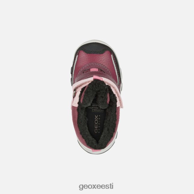 Burgundia/roosa ZZ2TH21562 Geox flanfil abx väikelaps