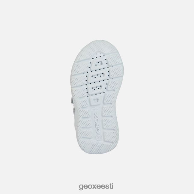 hõbe/taevas ZZ2TH22016 Geox sprintye beebi