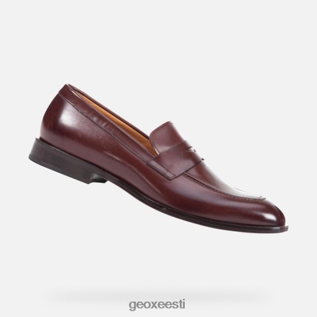 eebenipuu ZZ2TH2752 Geox veel mees