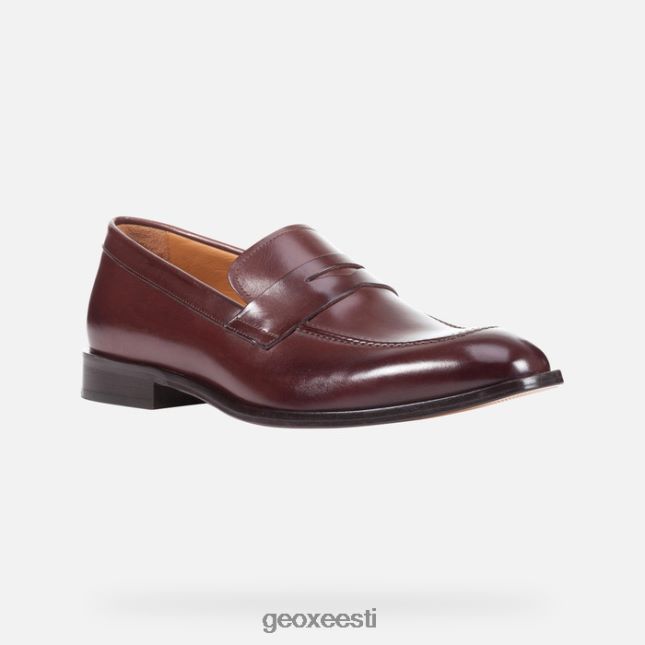 eebenipuu ZZ2TH2752 Geox veel mees