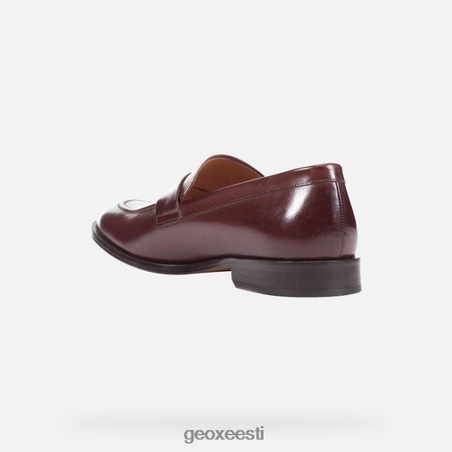 eebenipuu ZZ2TH2752 Geox veel mees