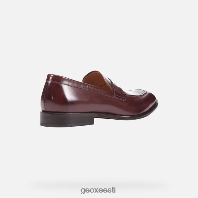 eebenipuu ZZ2TH2752 Geox veel mees