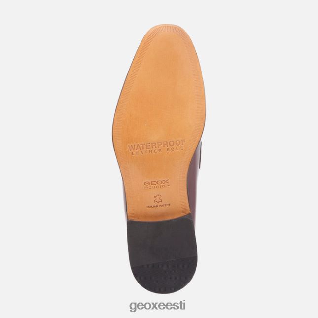eebenipuu ZZ2TH2752 Geox veel mees