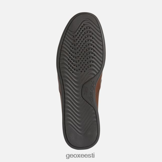 hele pruun ZZ2TH21816 Geox sile 2 sobiv mees
