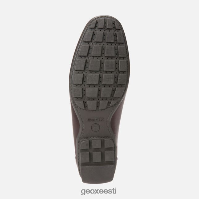 šokolaadi ZZ2TH21743 Geox moner 2fit man
