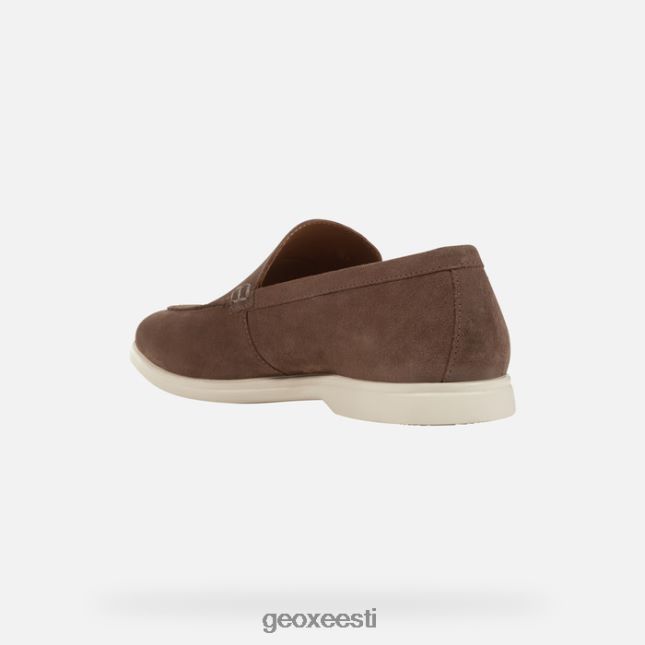 tuvihall ZZ2TH2691 Geox venzone mees