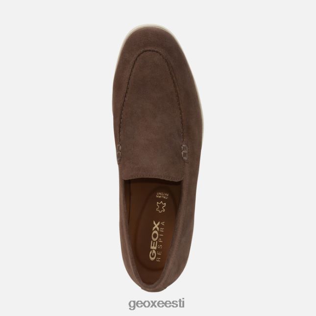 tuvihall ZZ2TH2691 Geox venzone mees