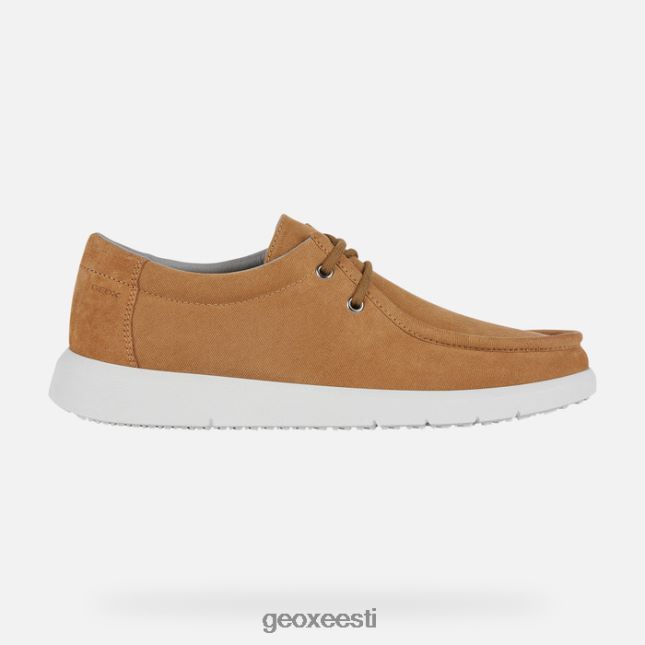viski ZZ2TH2964 Geox errico mees