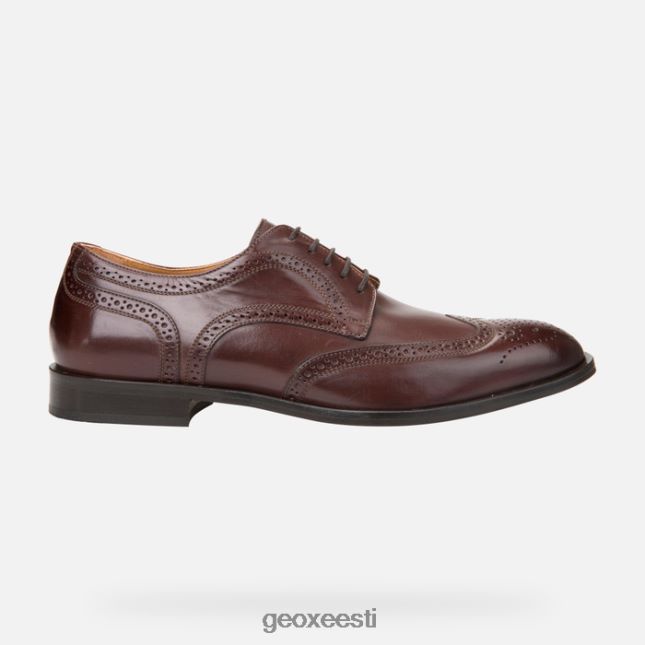 eebenipuu ZZ2TH2910 Geox veel mees