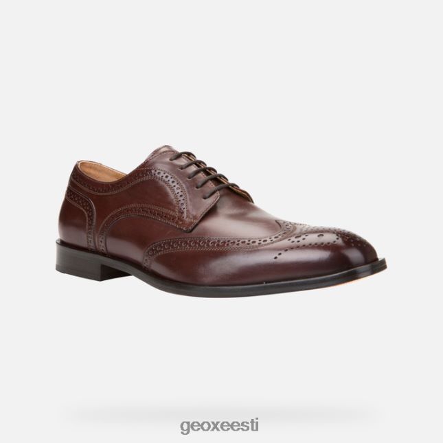 eebenipuu ZZ2TH2910 Geox veel mees