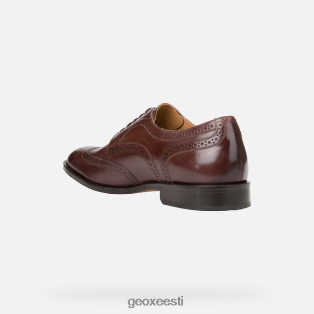 eebenipuu ZZ2TH2910 Geox veel mees