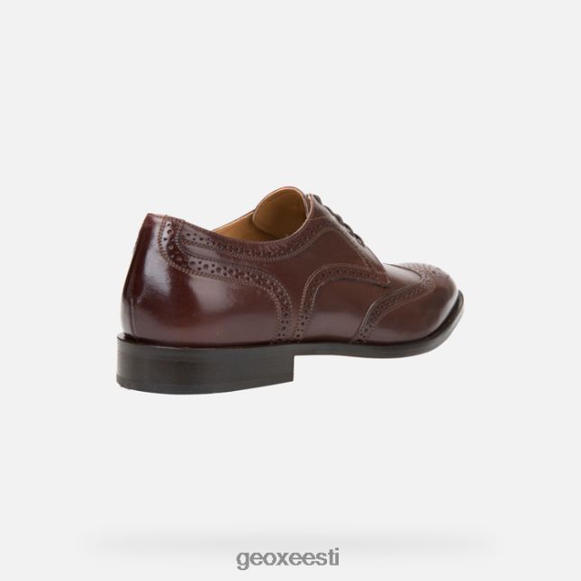 eebenipuu ZZ2TH2910 Geox veel mees