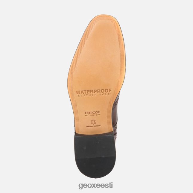 eebenipuu ZZ2TH2910 Geox veel mees