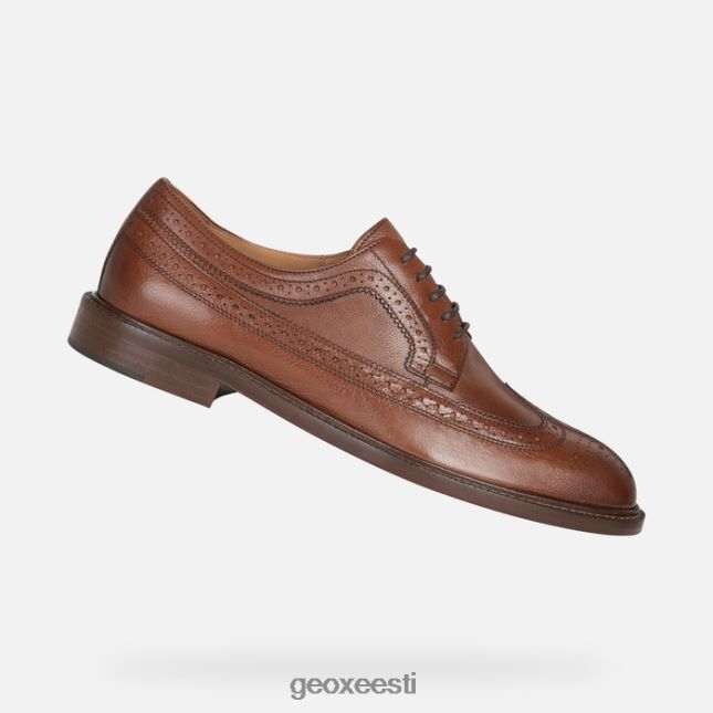hele pruun ZZ2TH21857 Geox artenova mees