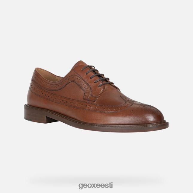 hele pruun ZZ2TH21857 Geox artenova mees