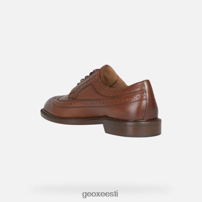 hele pruun ZZ2TH21857 Geox artenova mees