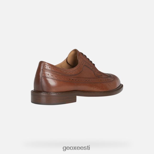 hele pruun ZZ2TH21857 Geox artenova mees