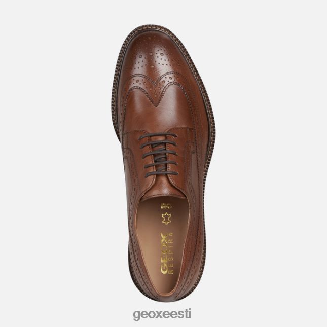hele pruun ZZ2TH21857 Geox artenova mees