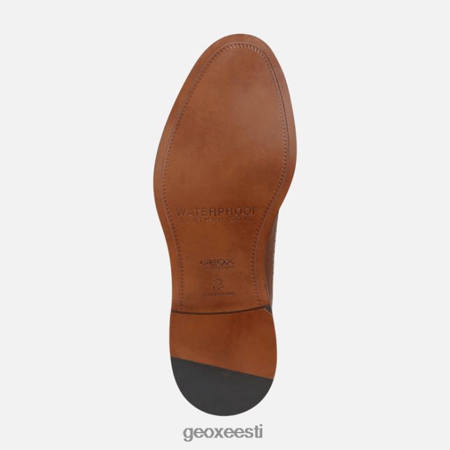hele pruun ZZ2TH21857 Geox artenova mees