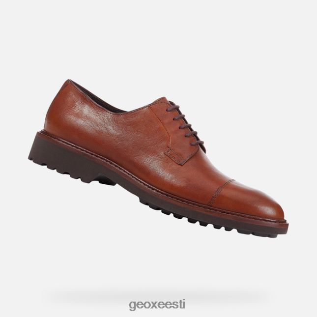 pruun ZZ2TH2957 Geox cannaregio mees