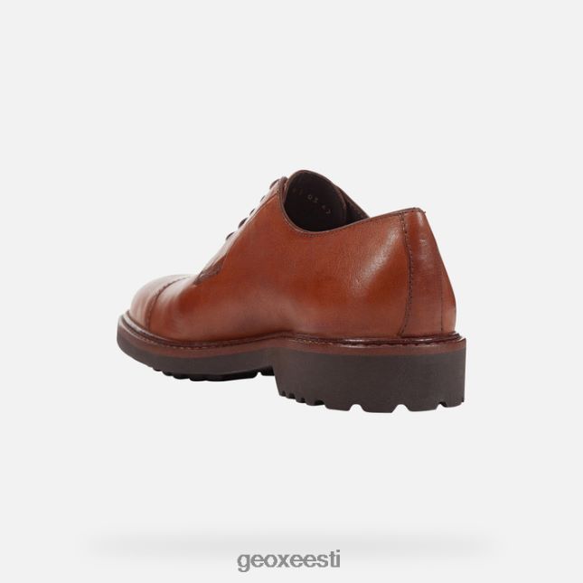 pruun ZZ2TH2957 Geox cannaregio mees
