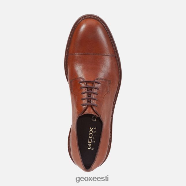pruun ZZ2TH2957 Geox cannaregio mees