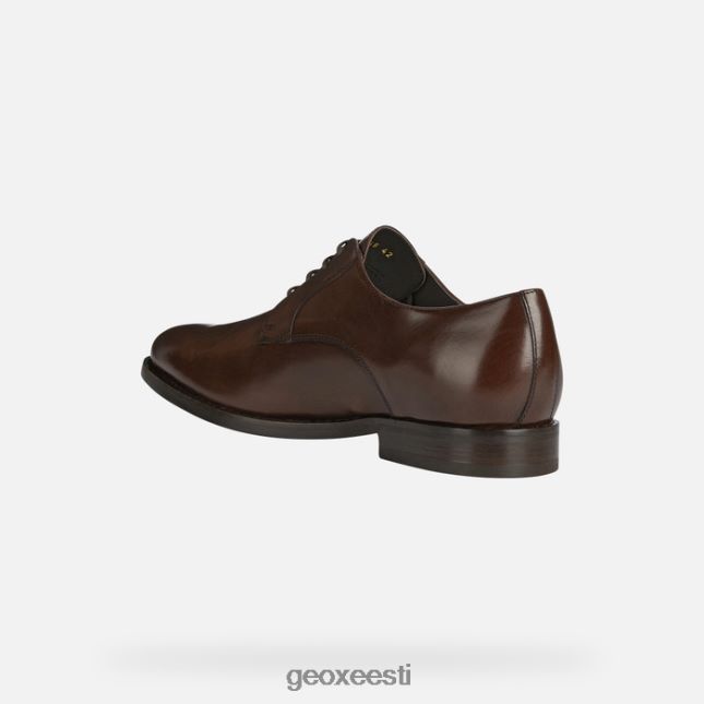 tumepruun ZZ2TH2708 Geox hampsteadi mees