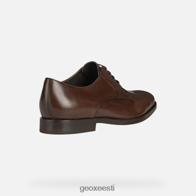 tumepruun ZZ2TH2708 Geox hampsteadi mees