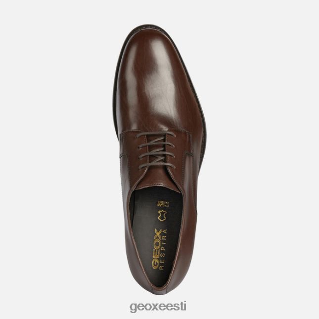 tumepruun ZZ2TH2708 Geox hampsteadi mees