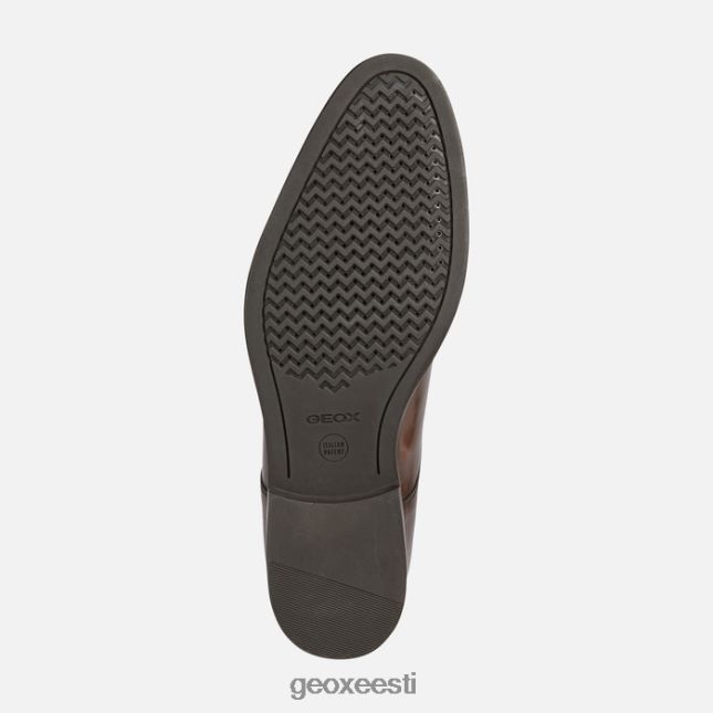 tumepruun ZZ2TH2708 Geox hampsteadi mees