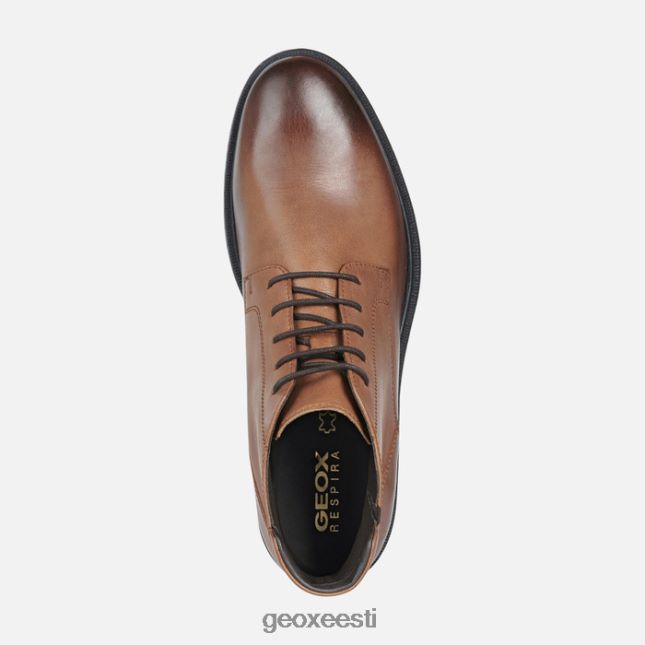 hele pruun ZZ2TH2975 Geox terence mees